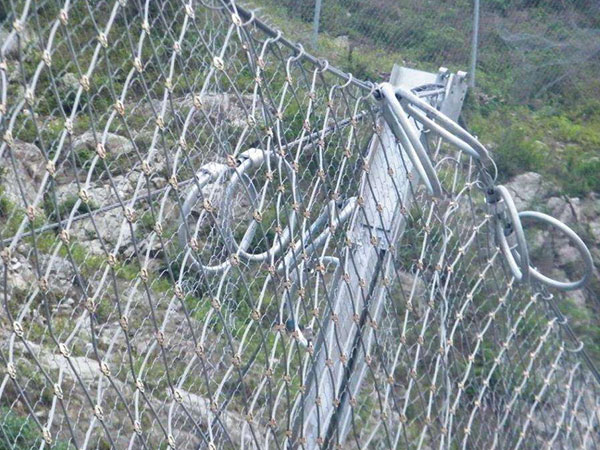 CXI-030被动防护网图片2