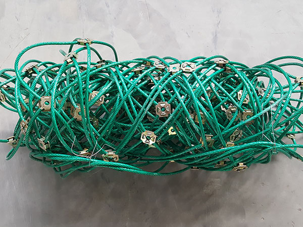 包塑主动防护网图片3