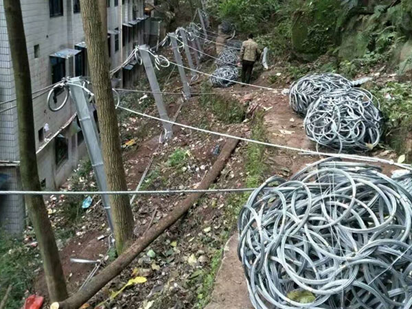 环形主动网图片4