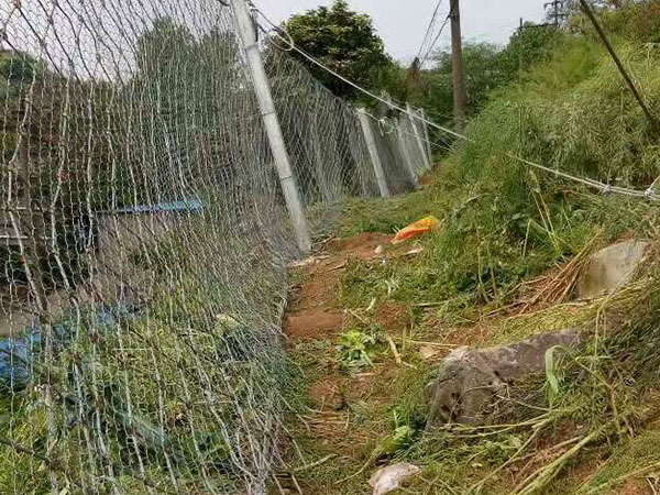 汶川县RX-050型被动防护网施工