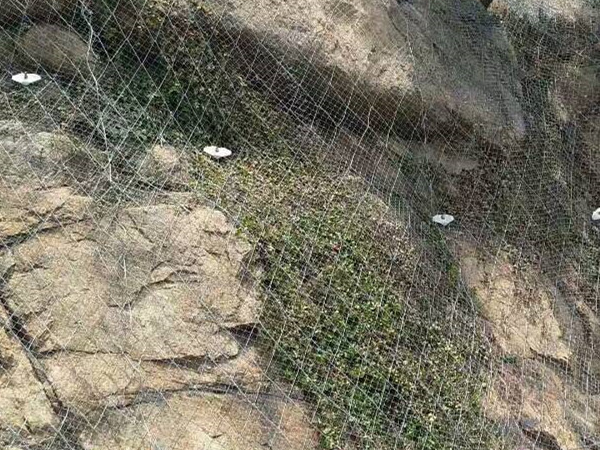 GSS2A主动防护网图片2