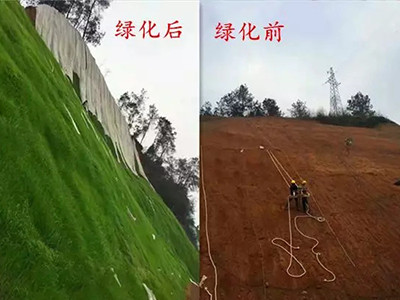 矿山复绿